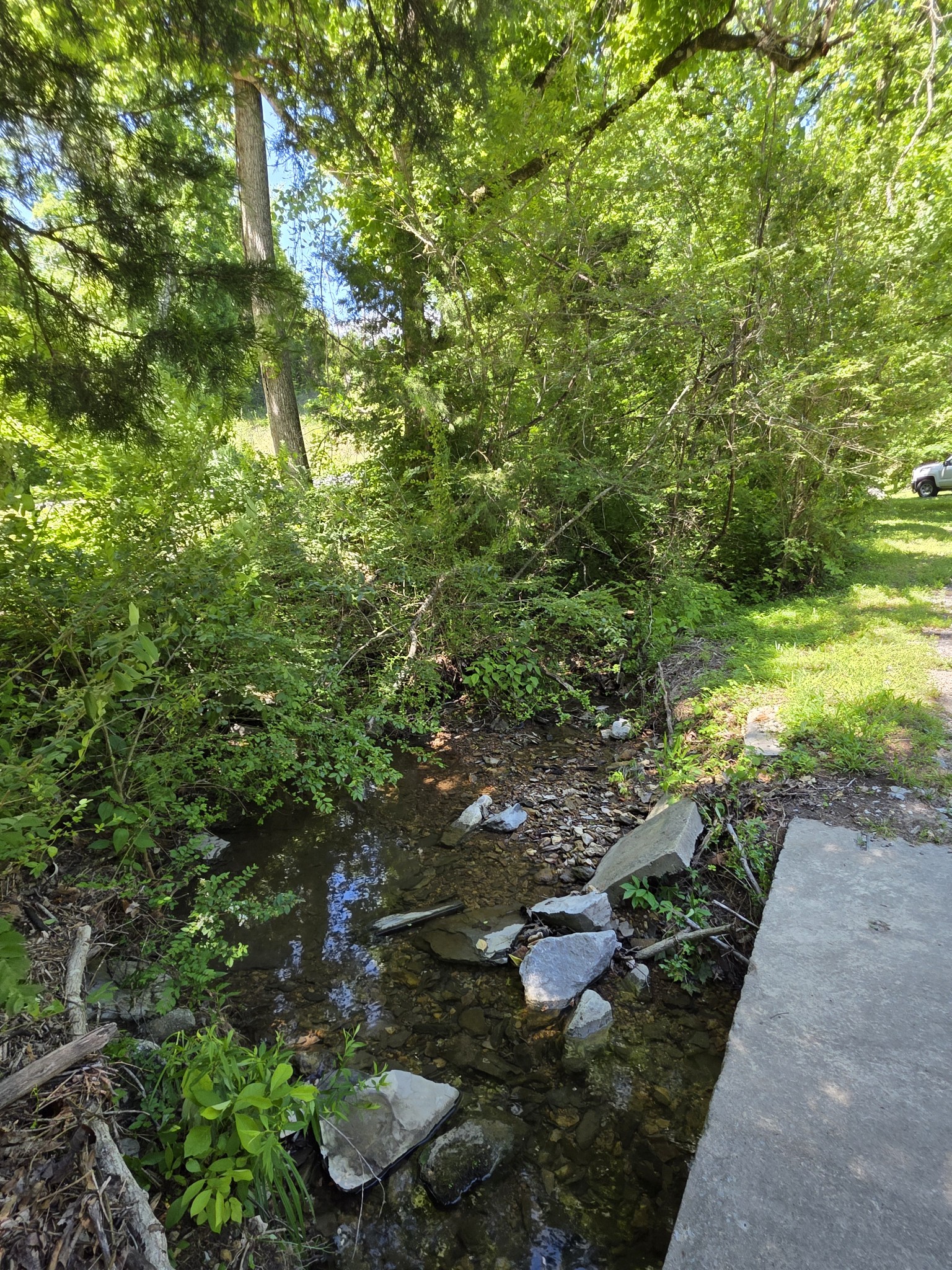 1048 Cemetery Road Ashland City, TN 37015 - Photo 4 of 16 Gallery Image 4