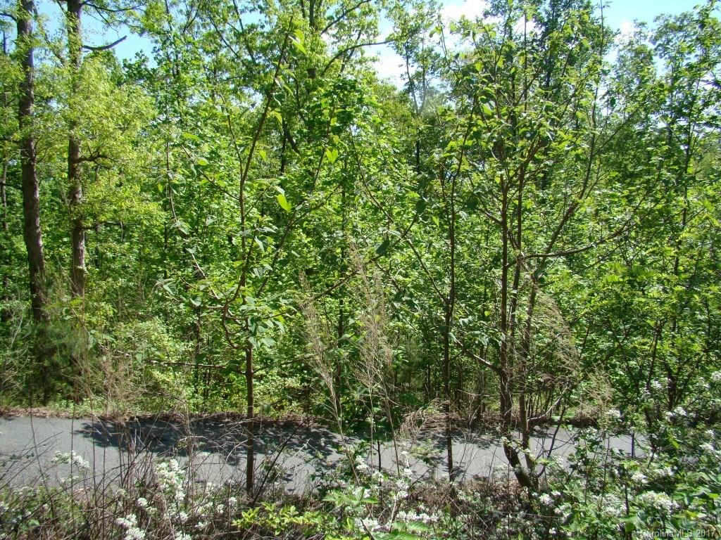 87 Big Rock Road Bostic, NC 28018 - Photo 3 of 12