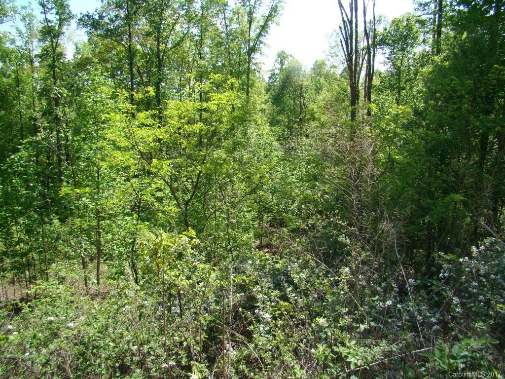 87 Big Rock Road Bostic, NC 28018 - Photo 4 of 12