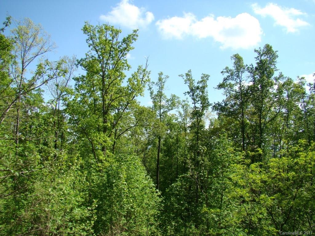 87 Big Rock Road Bostic, NC 28018 - Photo 5 of 12