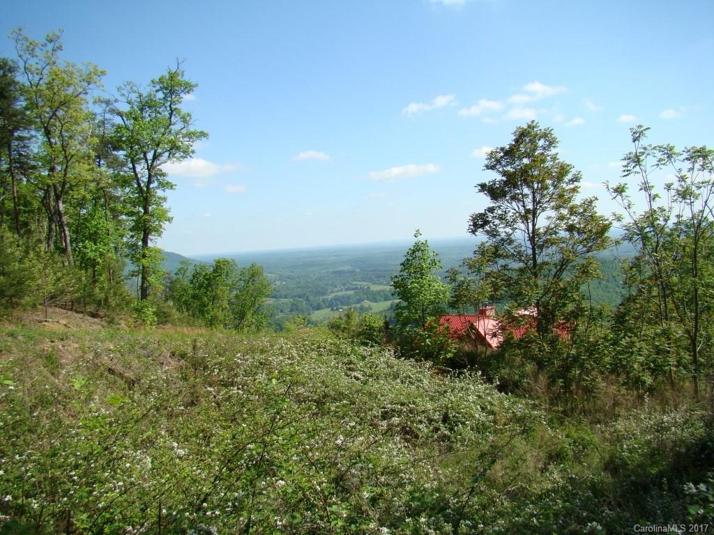 87 Big Rock Road Bostic, NC 28018 - Photo 8 of 12
