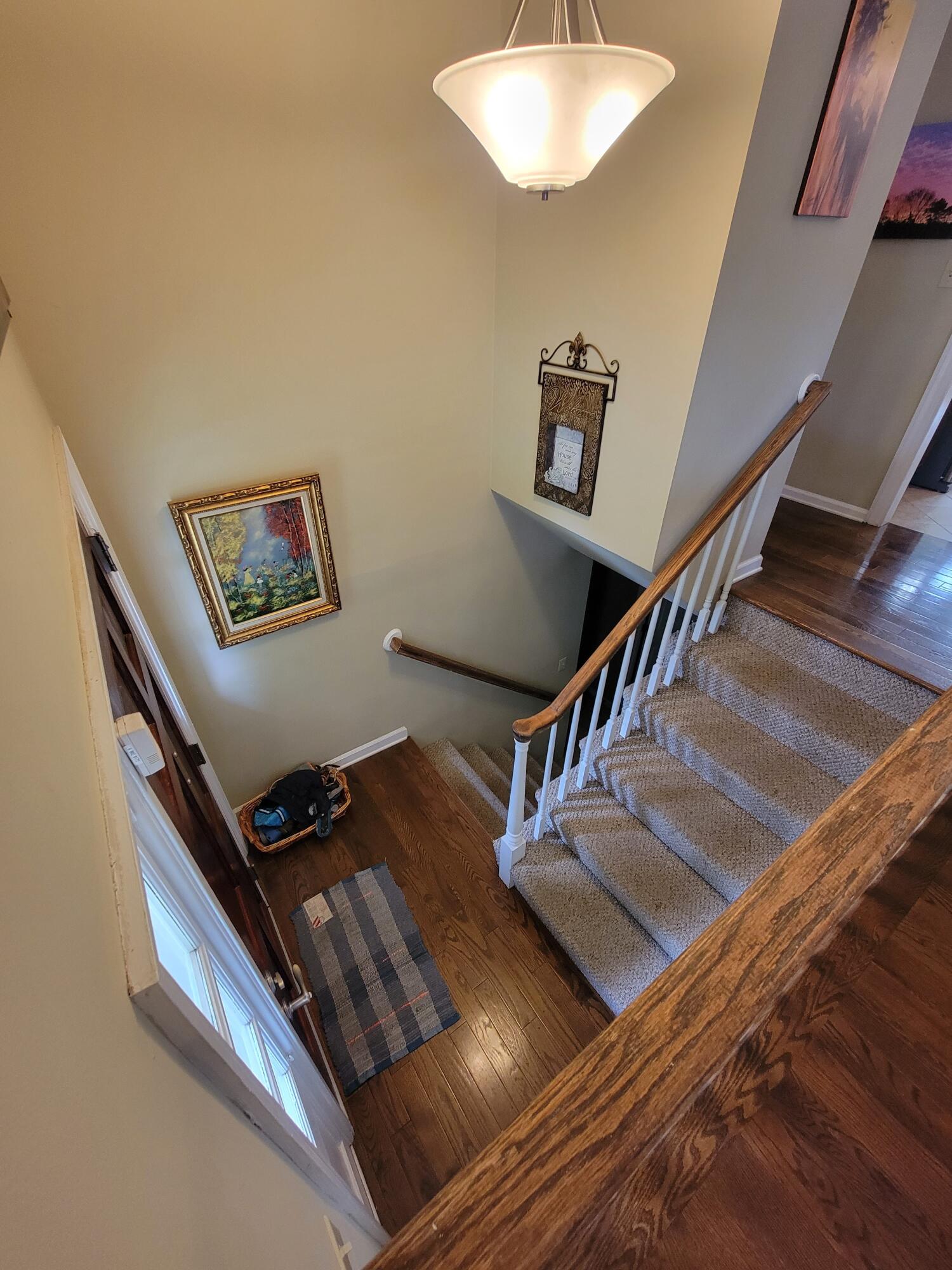 162 Rolling Ridge Court Chattanooga, TN 37421 - Photo 54 of 67 20230506_154223