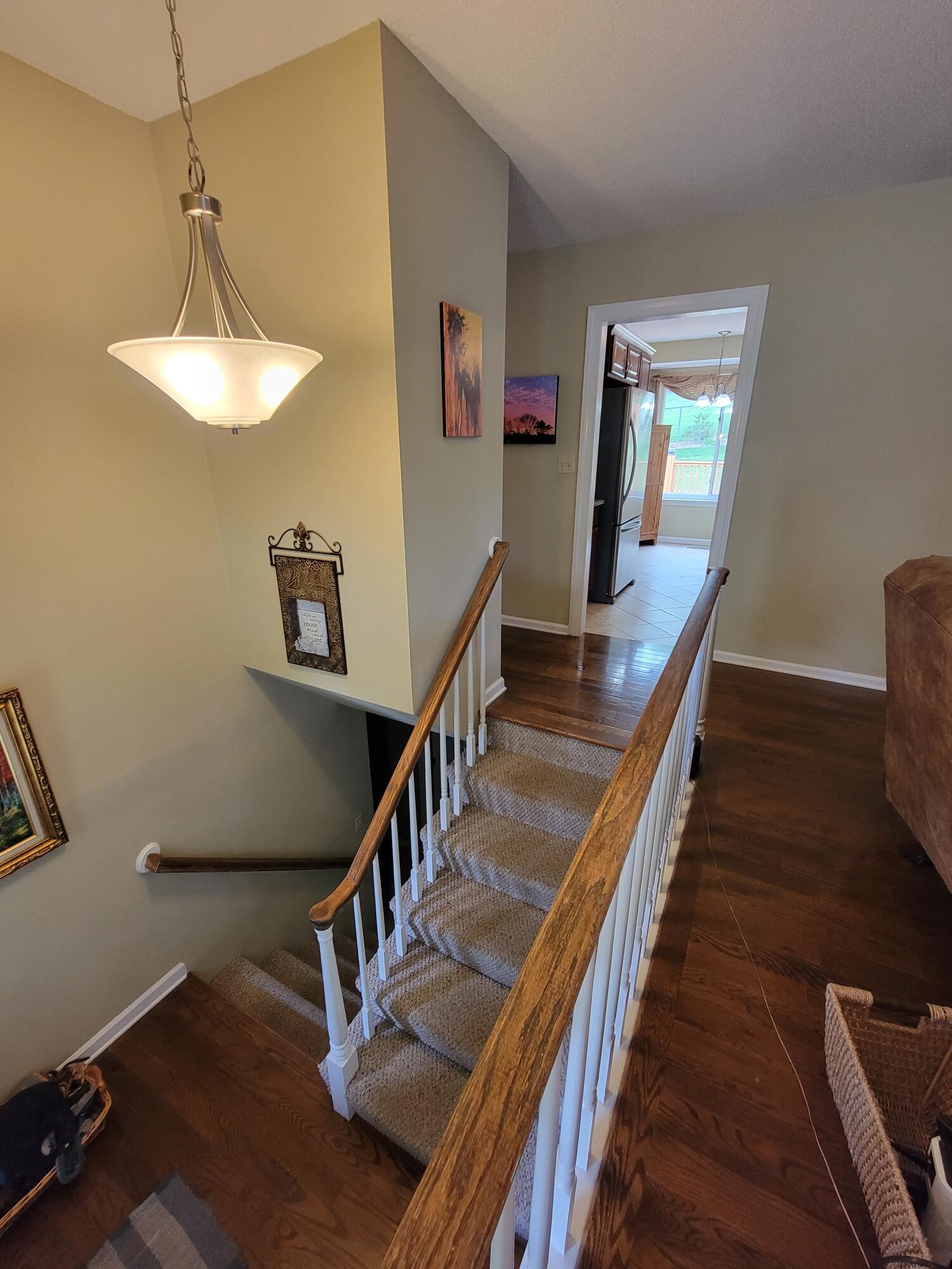 162 Rolling Ridge Court Chattanooga, TN 37421 - Photo 55 of 67 20230506_154232