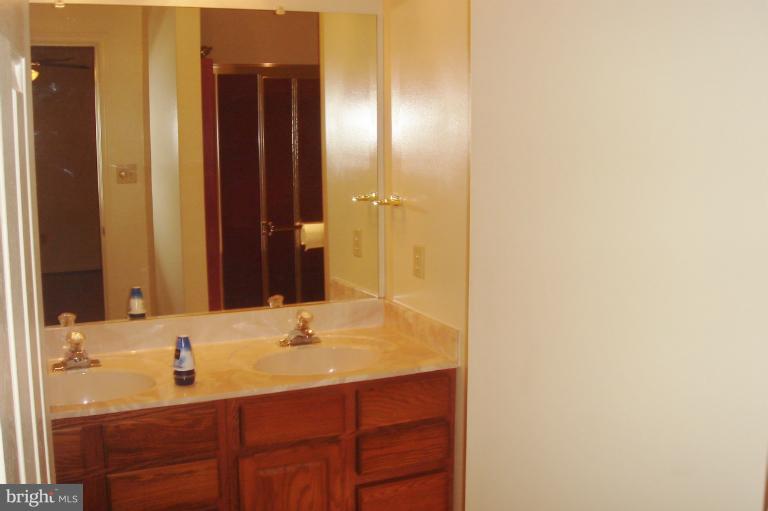 12396 Purcell Road Manassas, VA 20112 - Photo 4 of 24 Bath (Master)