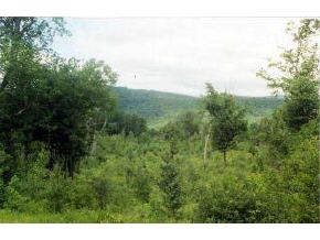 994 Kingdom Farm Road Albany, VT 05820 - Photo 3 of 7
