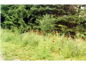 994 Kingdom Farm Road Albany, VT 05820 - Photo 5 of 7