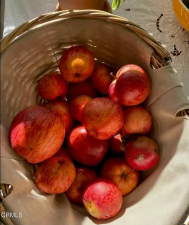 $694,000 | 31400 Sherwood Road, Fort Bragg, CA 95437