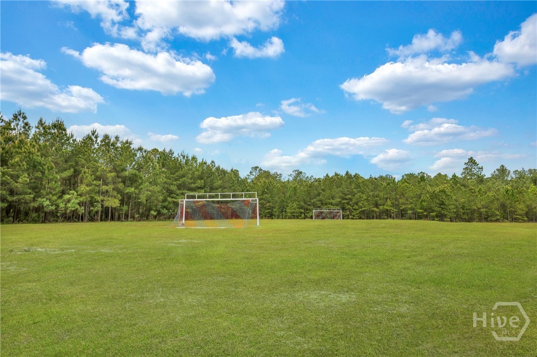 116 Bluegrass Circle Guyton, GA 31312 - Photo 47 of 50 Community fields