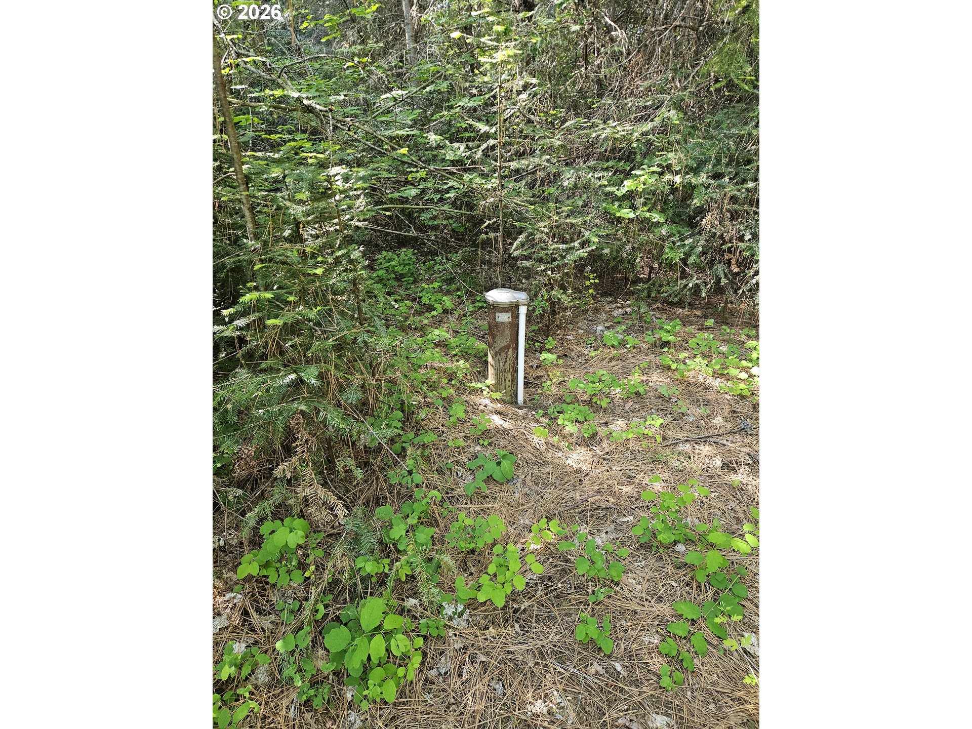 983 Snowden Road White Salmon, WA 98672 - Photo 12 of 22 a backyard of a house