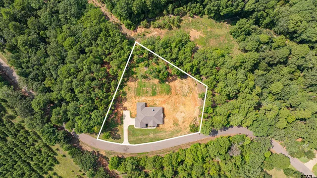 a view of a bird of a house