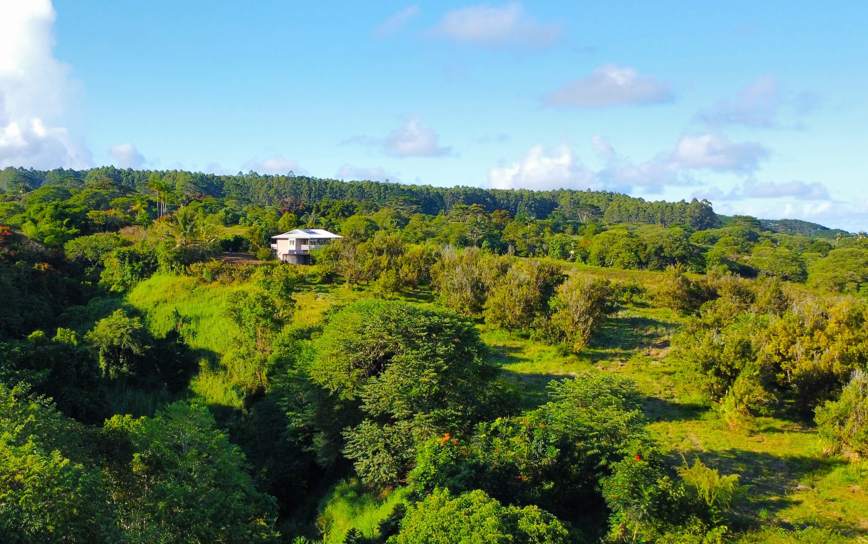 2525 Lot 62 Maikalani Street Hilo, HI 96720 - Photo 1 of 11 a view of a green field