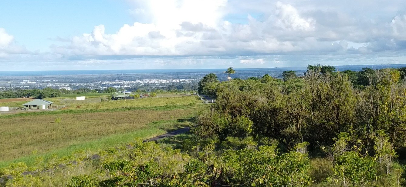 2525 Lot 62 Maikalani Street Hilo, HI 96720 - Photo 2 of 11 a view of a city with lots of trees