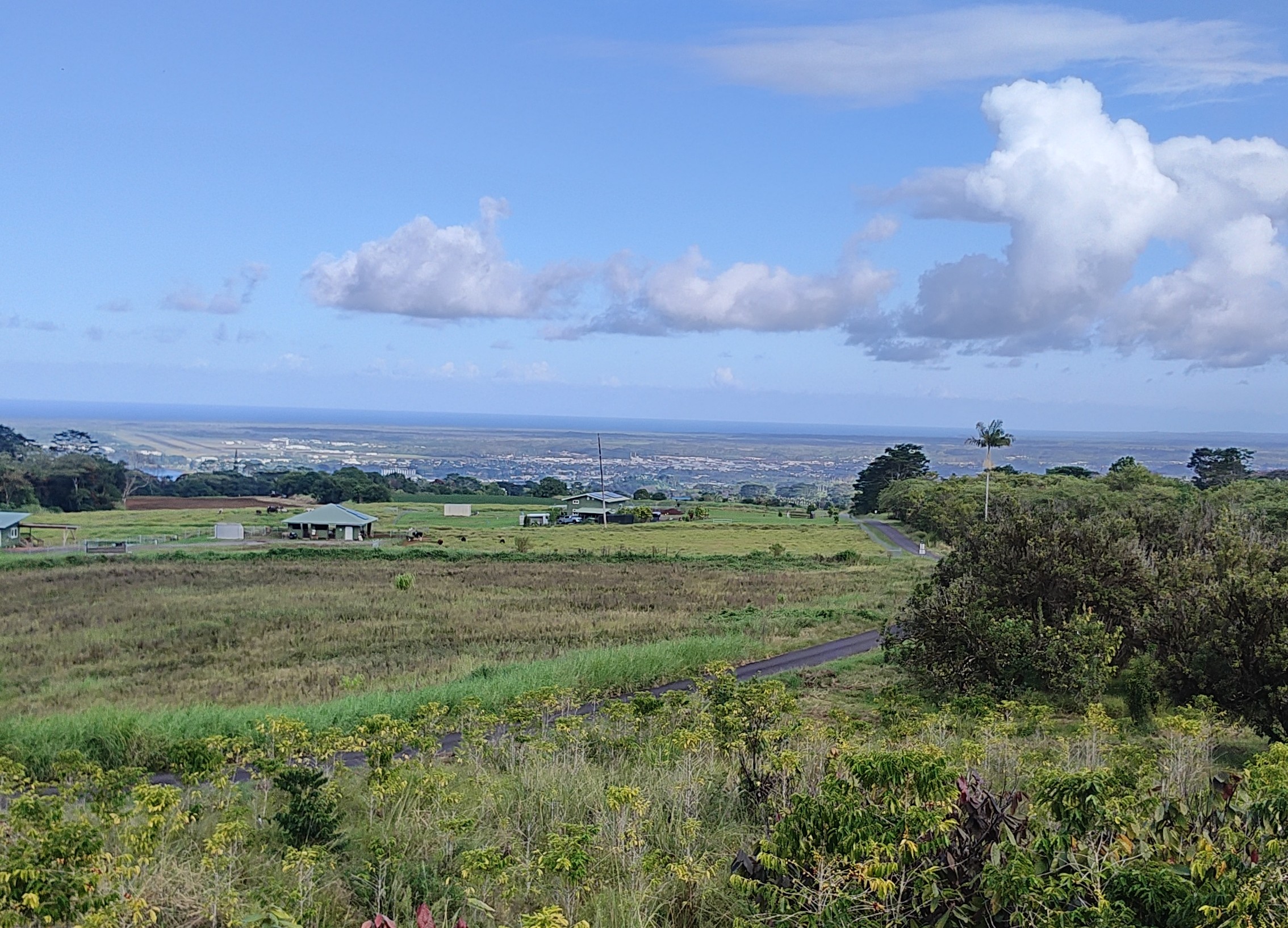2525 Lot 62 Maikalani Street Hilo, HI 96720 - Photo 4 of 11 a view of a big yard with a large tree
