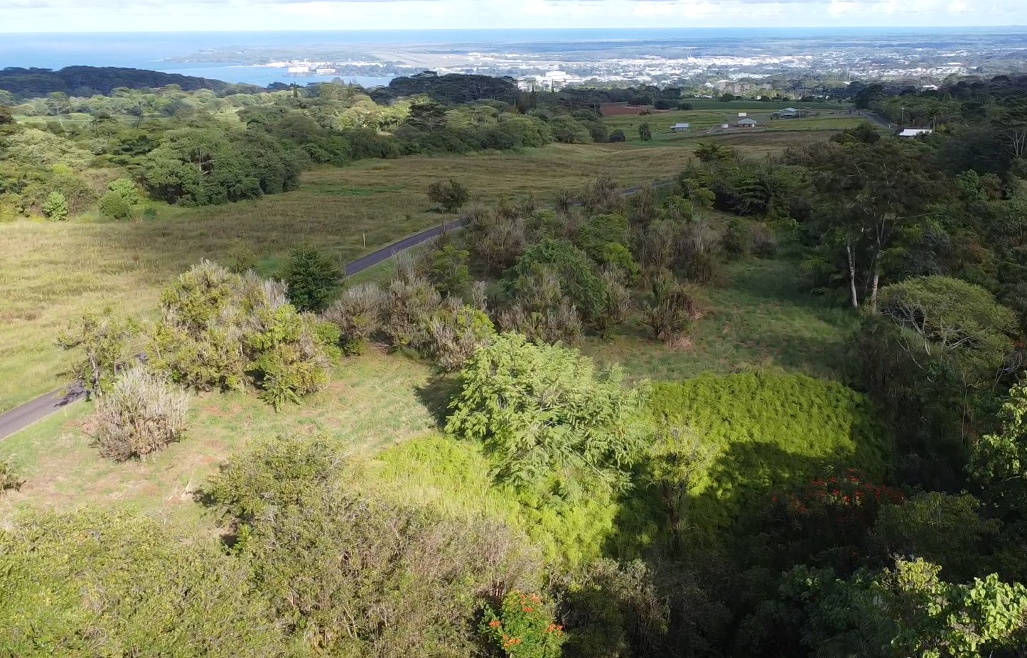 2525 Lot 62 Maikalani Street Hilo, HI 96720 - Photo 7 of 11 a view of a green field with lots of trees