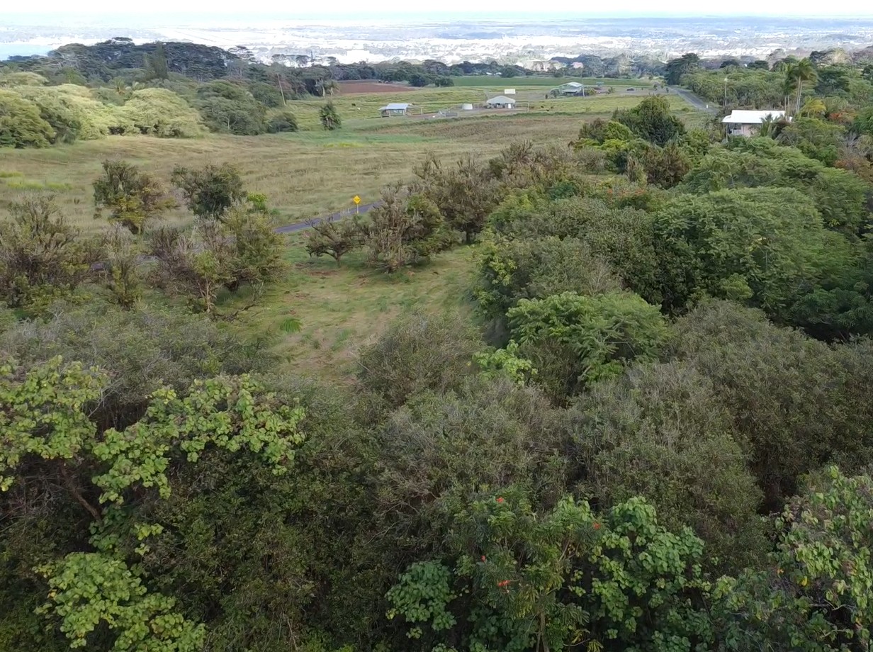 2525 Lot 62 Maikalani Street Hilo, HI 96720 - Photo 8 of 11 an aerial view of mountains with green space and fog