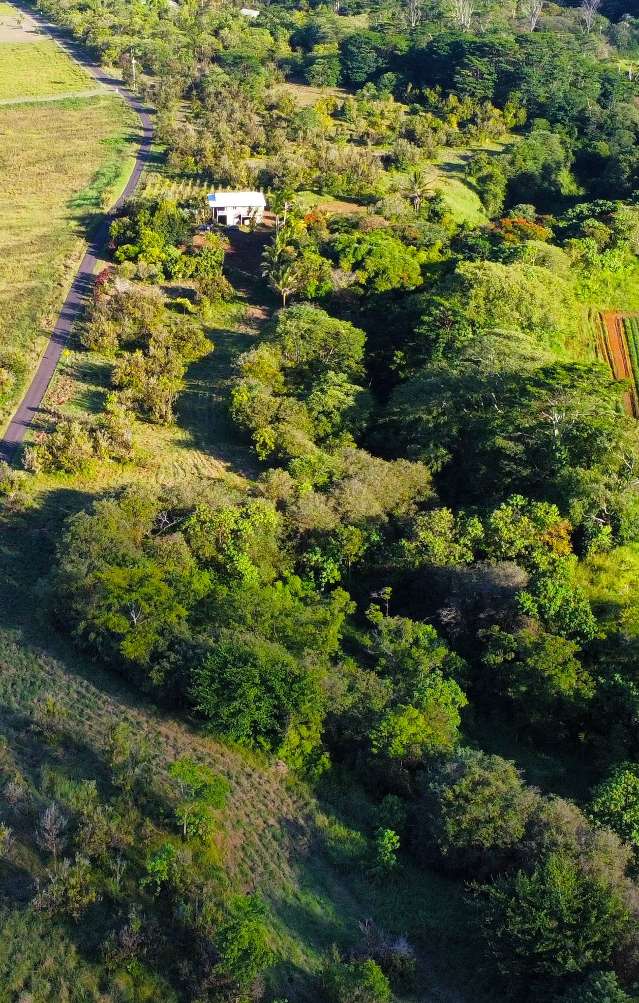2525 Lot 62 Maikalani Street Hilo, HI 96720 - Photo 9 of 11 a view of a lake view