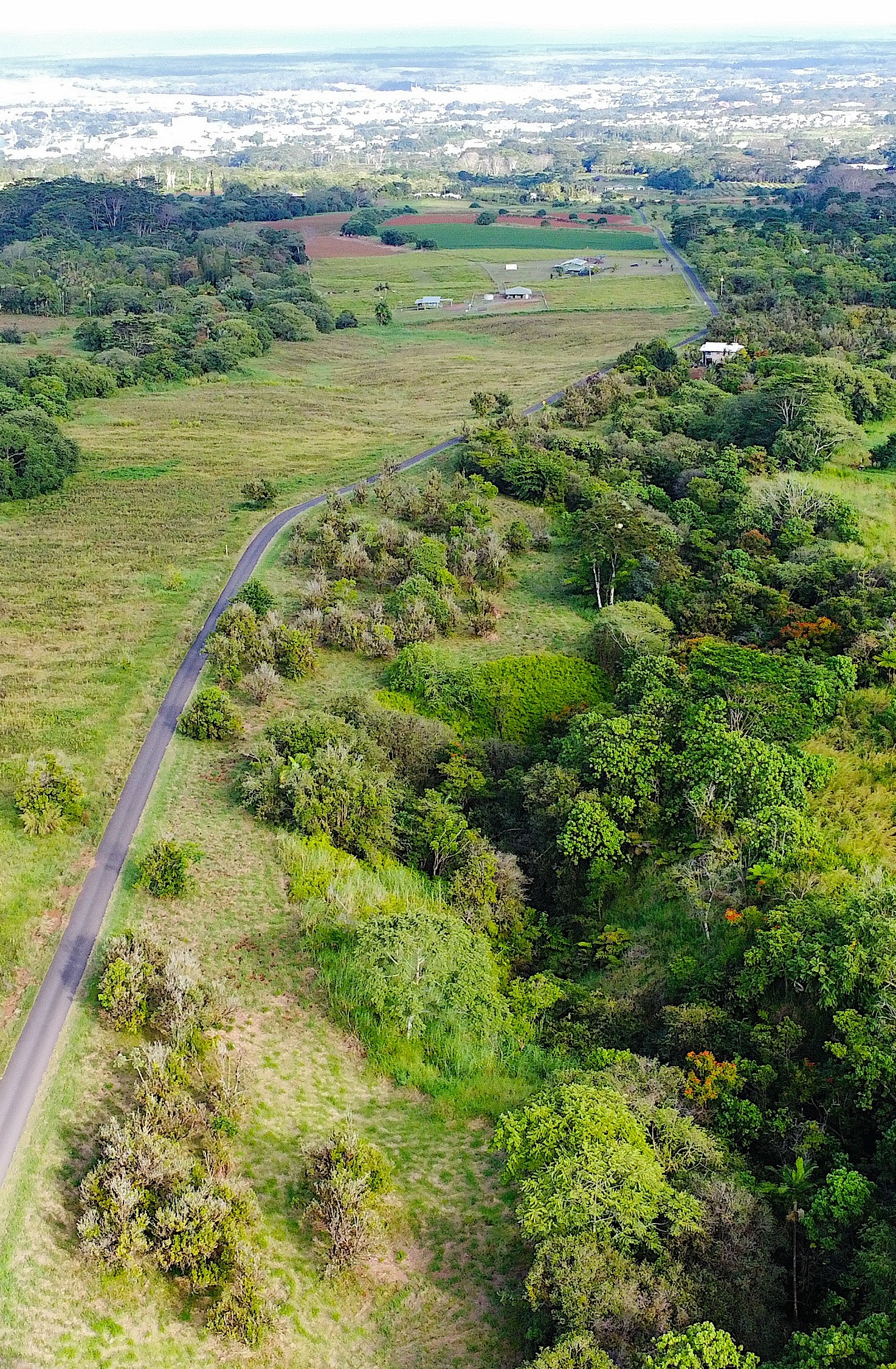 2525 Lot 62 Maikalani Street Hilo, HI 96720 - Photo 10 of 11 a view of a field with an ocean view