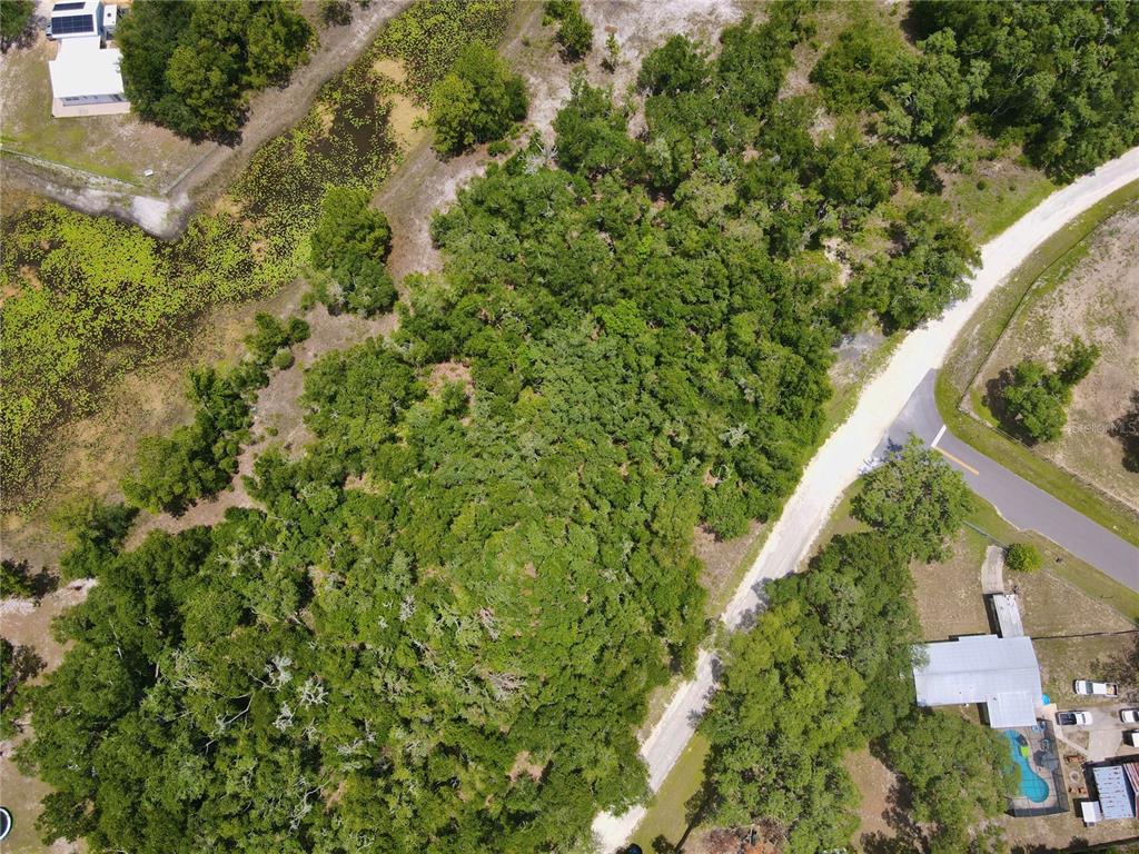 34237 Shaffer Drive Webster, FL 33597 - Photo 9 of 18