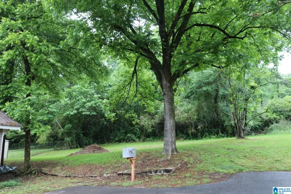 $42,900 | 1325 Avenue V, Birmingham, AL 35218