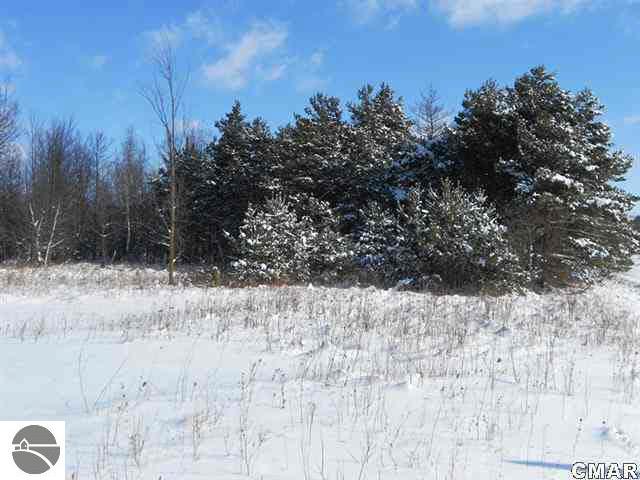 Tbd East Adams Road Wheeler, MI 48662 - Photo 2 of 12 1764455-1.JPG