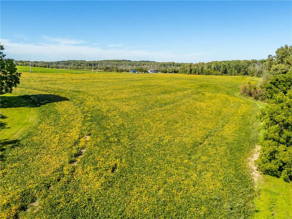 5192 Fox Road Farmington, NY 14522 - Photo 10 of 17 Gallery Image 10