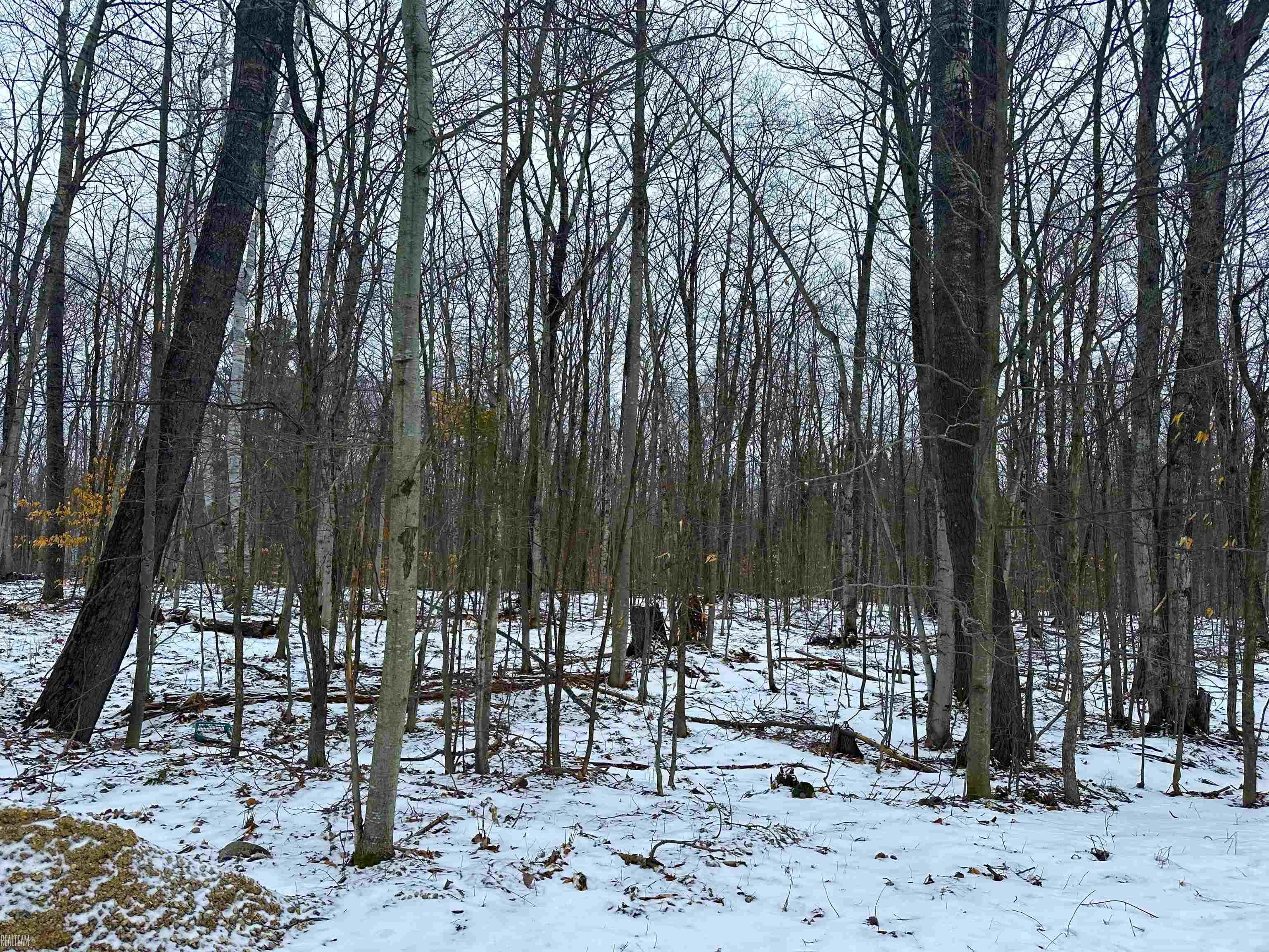 18293 Liberty Cheboygan, MI 49721 - Photo 1 of 11 50133671-33400234-5c22-47b9-b497-19c406526658.JPG