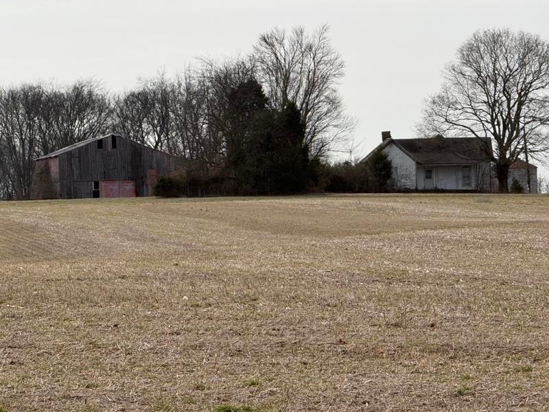 687 Sulphur Springs Church Road Franklin, KY 42134 - Photo 2 of 5 Gallery Image 2