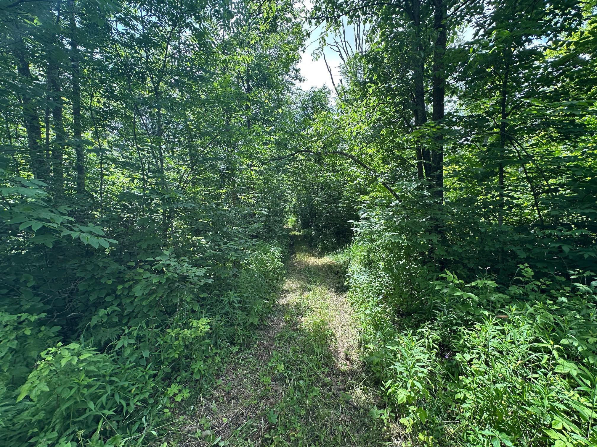 Tbd Tbd Tamarac Road Onamia, MN 56359 - Photo 16 of 49