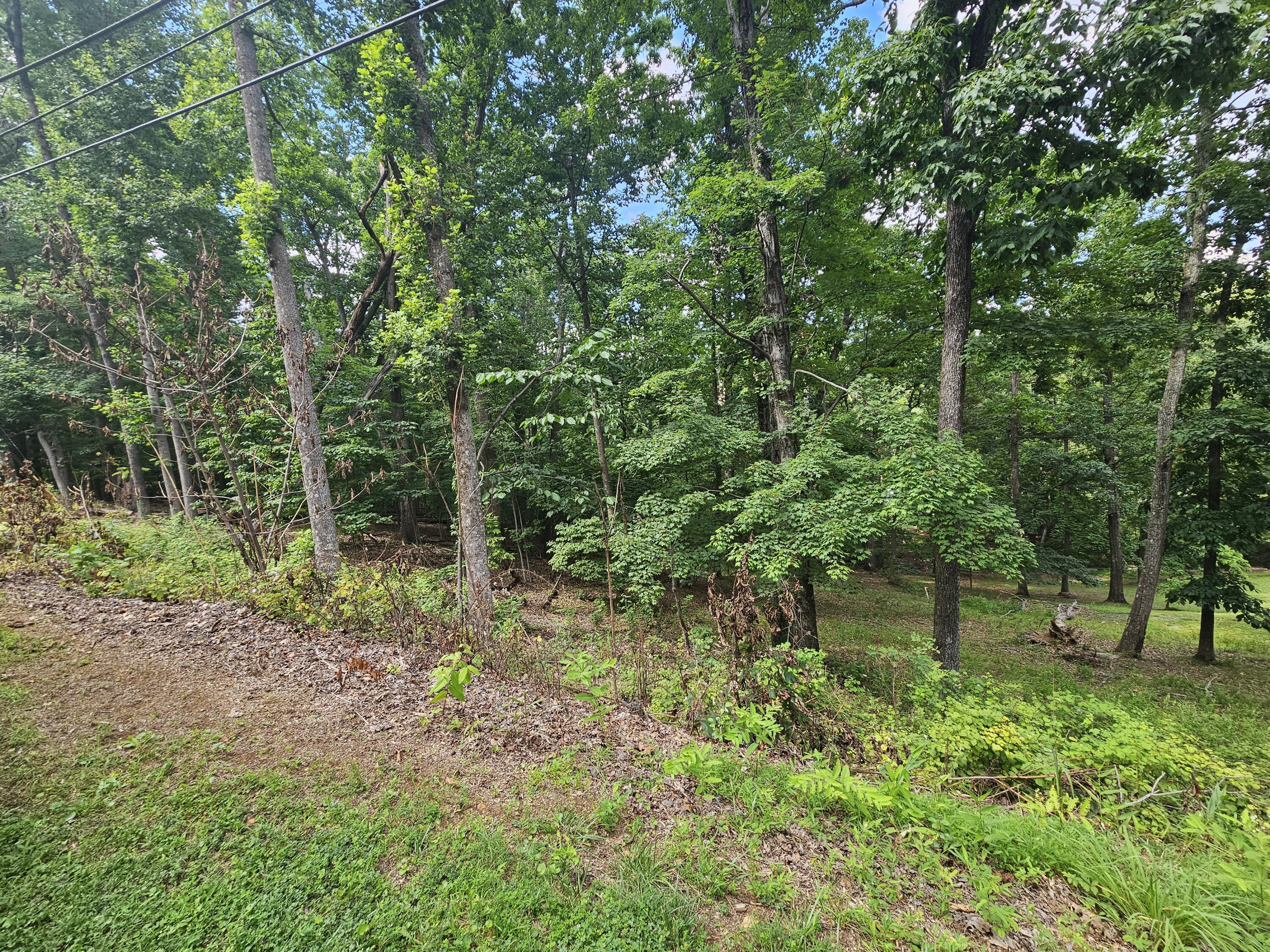 0 Pin Oak Drive Blue Ridge, VA 24064 - Photo 3 of 6 a green field with lots of trees