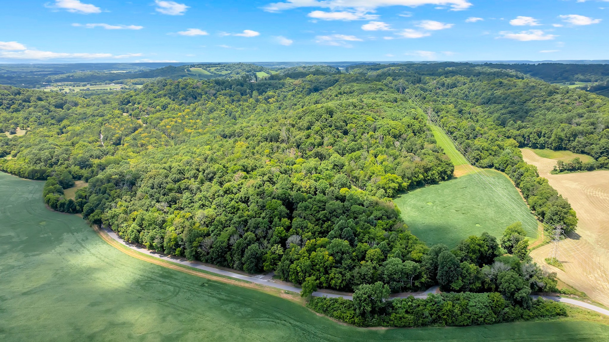 0 Red Hill Road Normandy, TN 37360 - Photo 7 of 12 Gallery Image 7