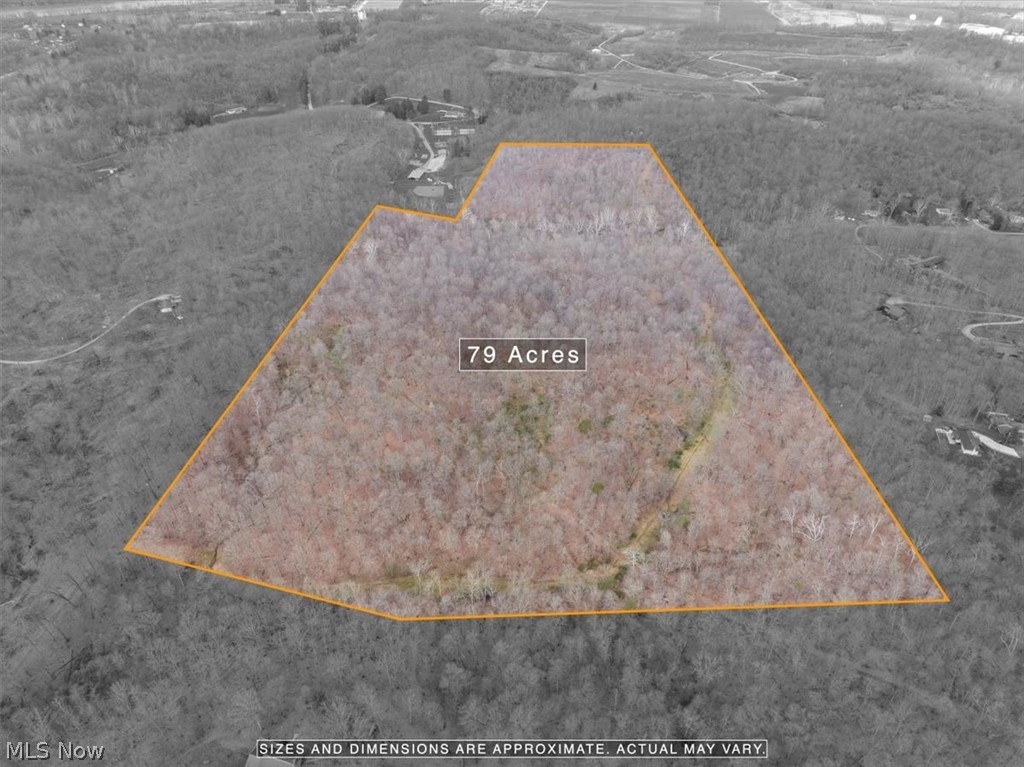 0 Smitherman Road Washington, WV 26181 - Photo 3 of 34 2nd Parcel backs up to Dupont Park.