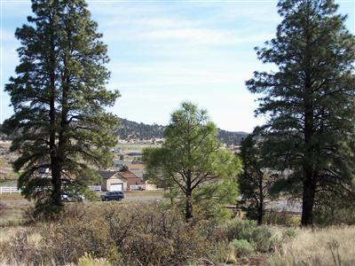 8000 Hollow Ridge Road, Unit 34 Flagstaff, AZ 86004 - Photo 4 of 4 a