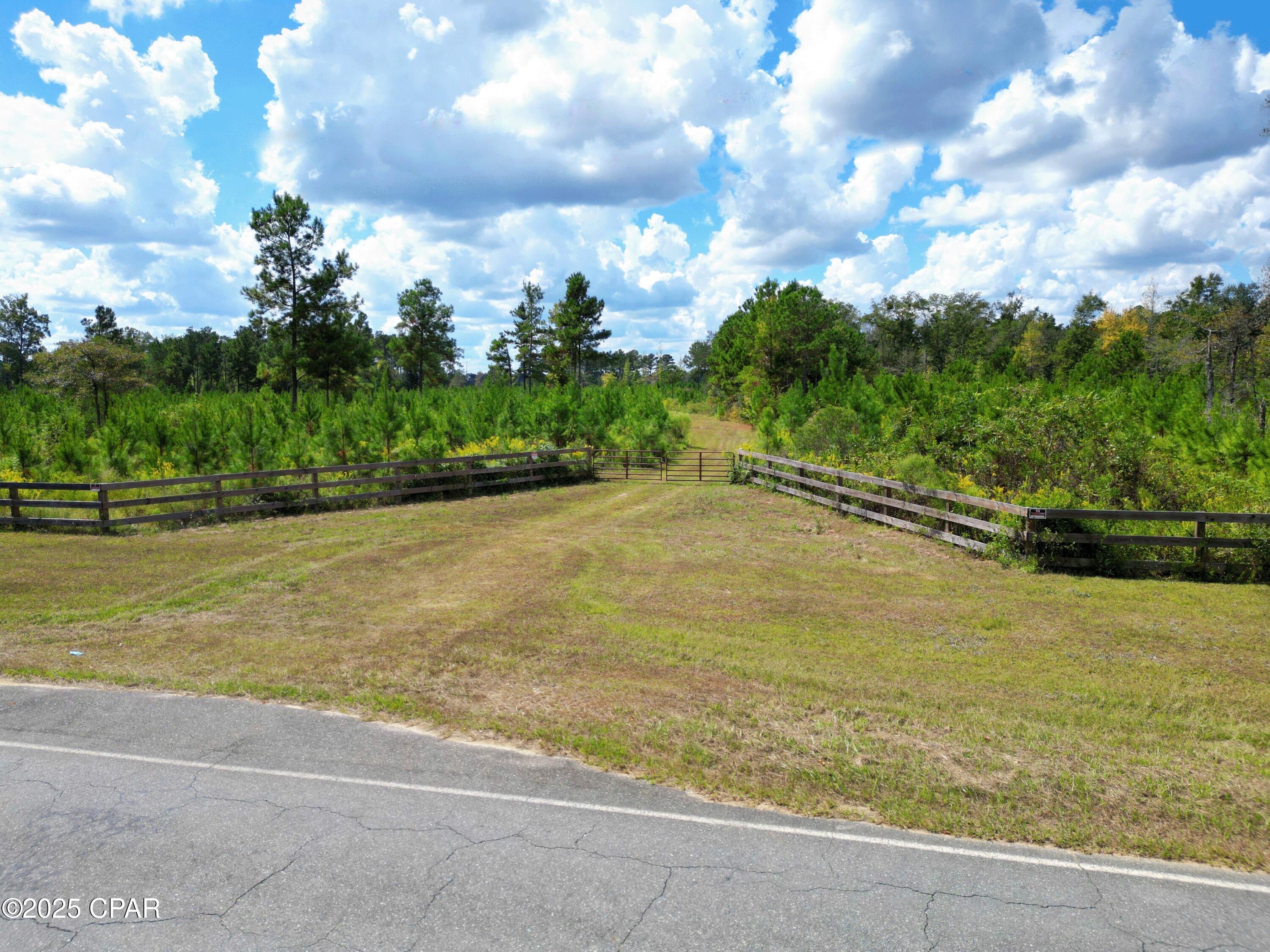 0 River Road Sneads, FL 32460 - Photo 14 of 23