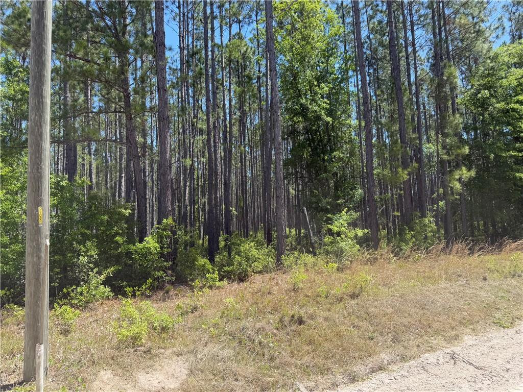 8.84 Strickland Road Waycross, GA 31503 - Photo 13 of 15 Photo 13