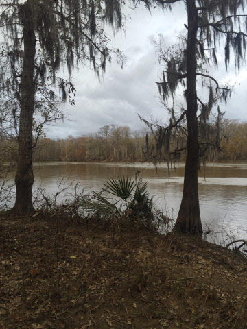 8300 Bryant's Lndg Road Stockton, AL 36579 - Photo 4 of 4 Water View