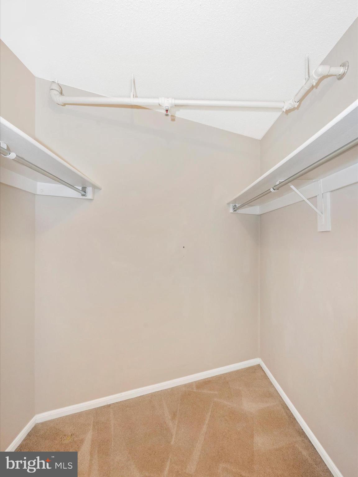 15115 Interlachen Drive, Unit 3704 Silver Spring, MD 20906 - Photo 31 of 72 Primary Walk in Closet