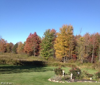 3429 Plymouth Ridge Road Kingsville, OH 44048 - Photo 22 of 25 Beautiful view of the wooded acreage