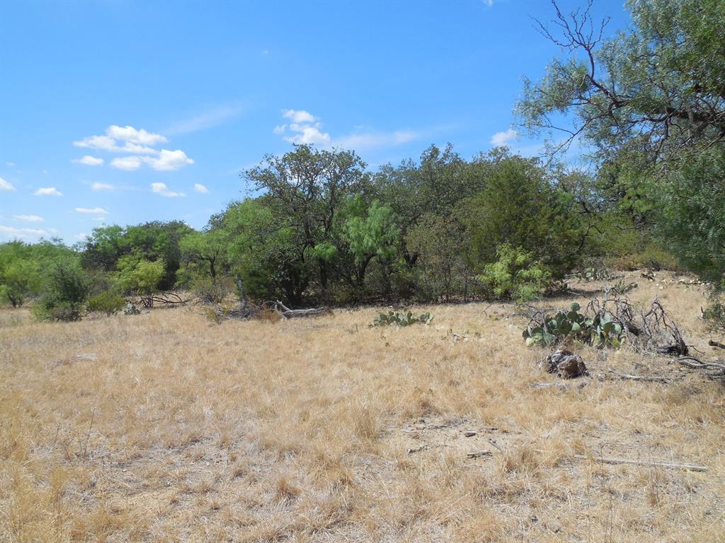 136 Ranger Tx 76470 Ranger, TX 76470 - Photo 11 of 11 a view of a dry yard with trees