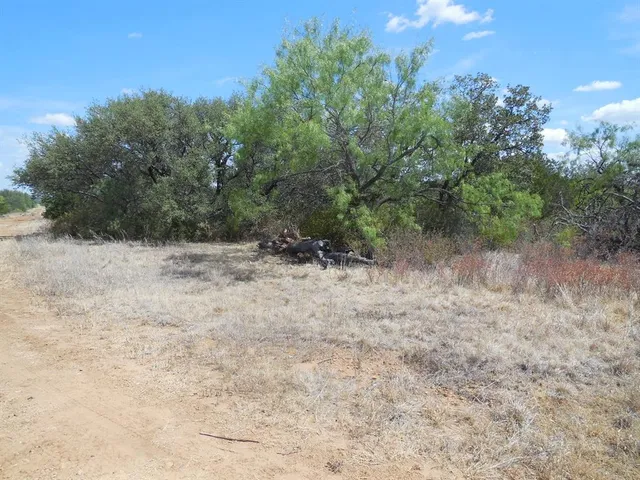 a view of a dry yard with trees
