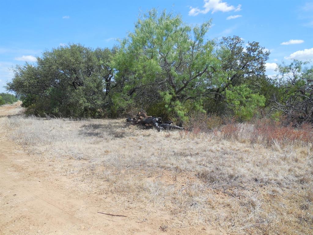 136 Ranger Tx 76470 Ranger, TX 76470 - Photo 2 of 11 a view of a dry yard with trees