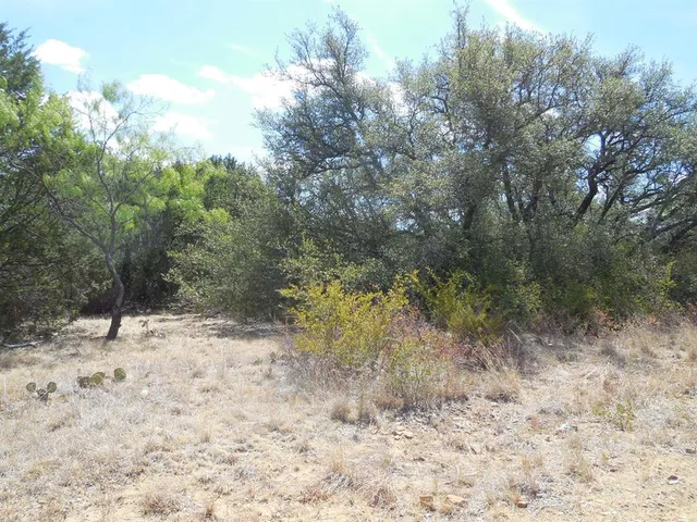 a view of a dry yard with trees