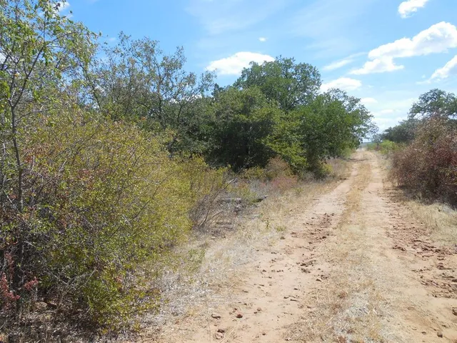 a view of a yard with trees