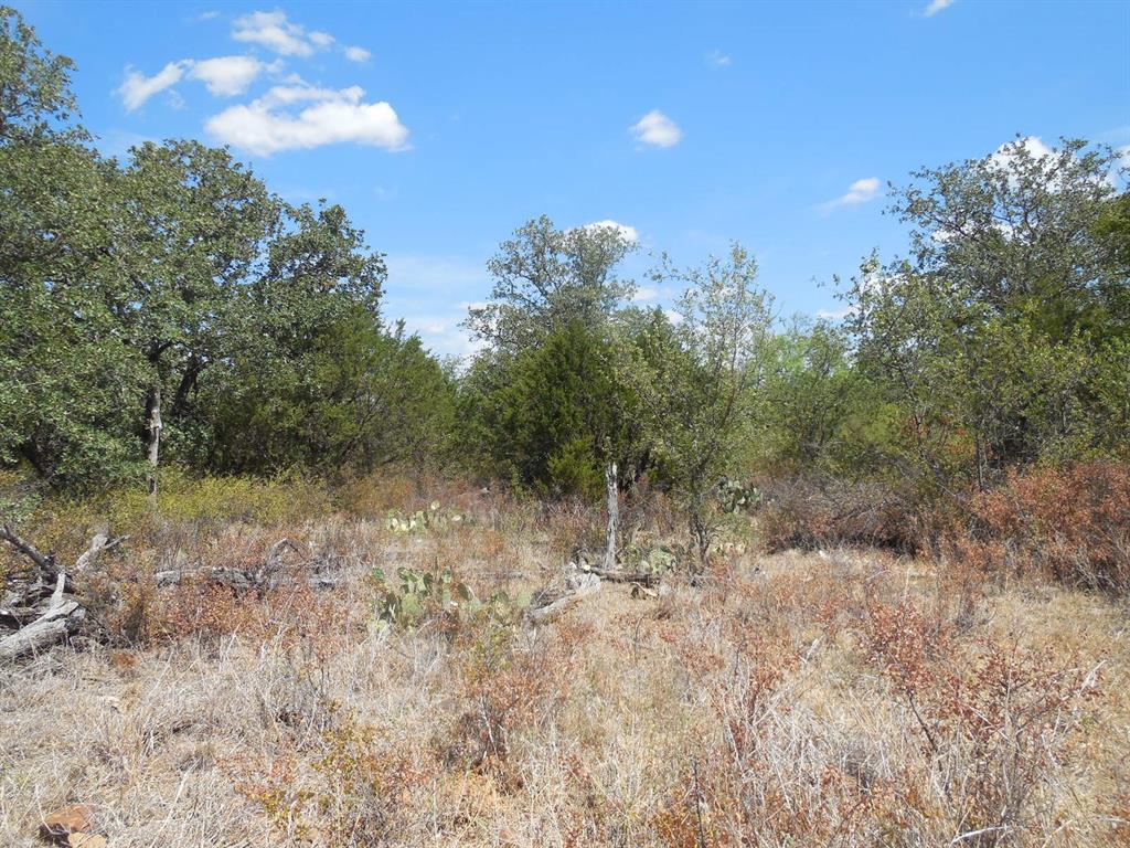 136 Ranger Tx 76470 Ranger, TX 76470 - Photo 8 of 11 a view of a lake with lots of trees