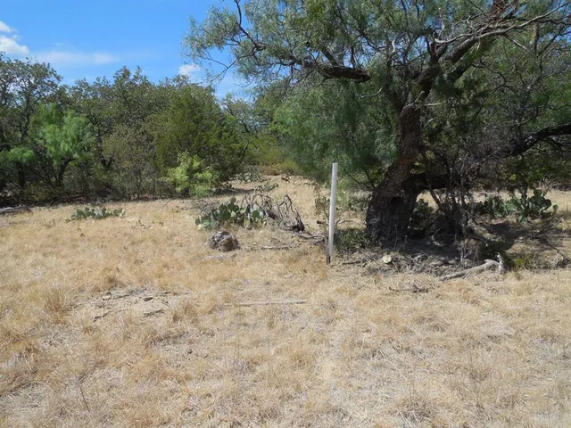 a view of a yard covered in snow
