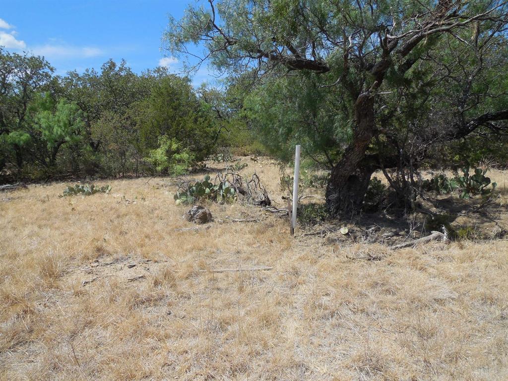 136 Ranger Tx 76470 Ranger, TX 76470 - Photo 10 of 11 a view of a yard covered in snow