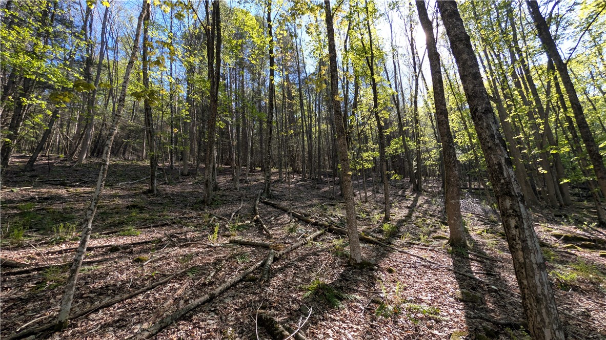 Lot 5 East River Road Andes, NY 13731 - Photo 37 of 39