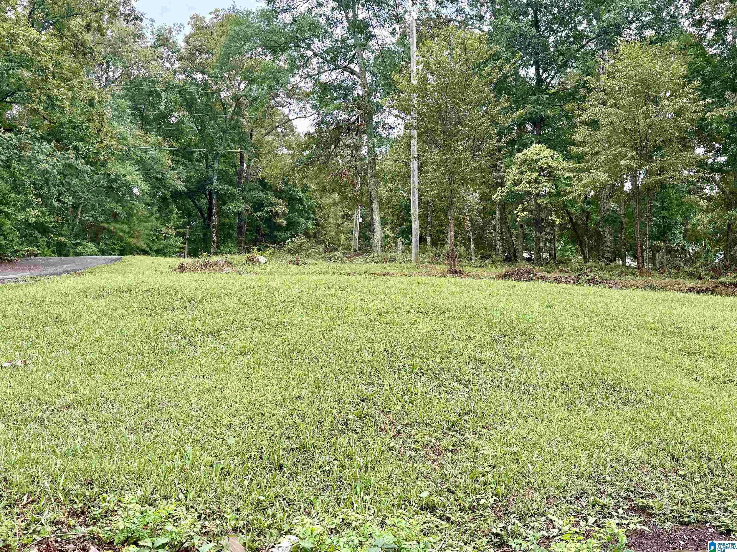 164 Bayou Ridge Lane Talladega, AL 35160 - Photo 32 of 32