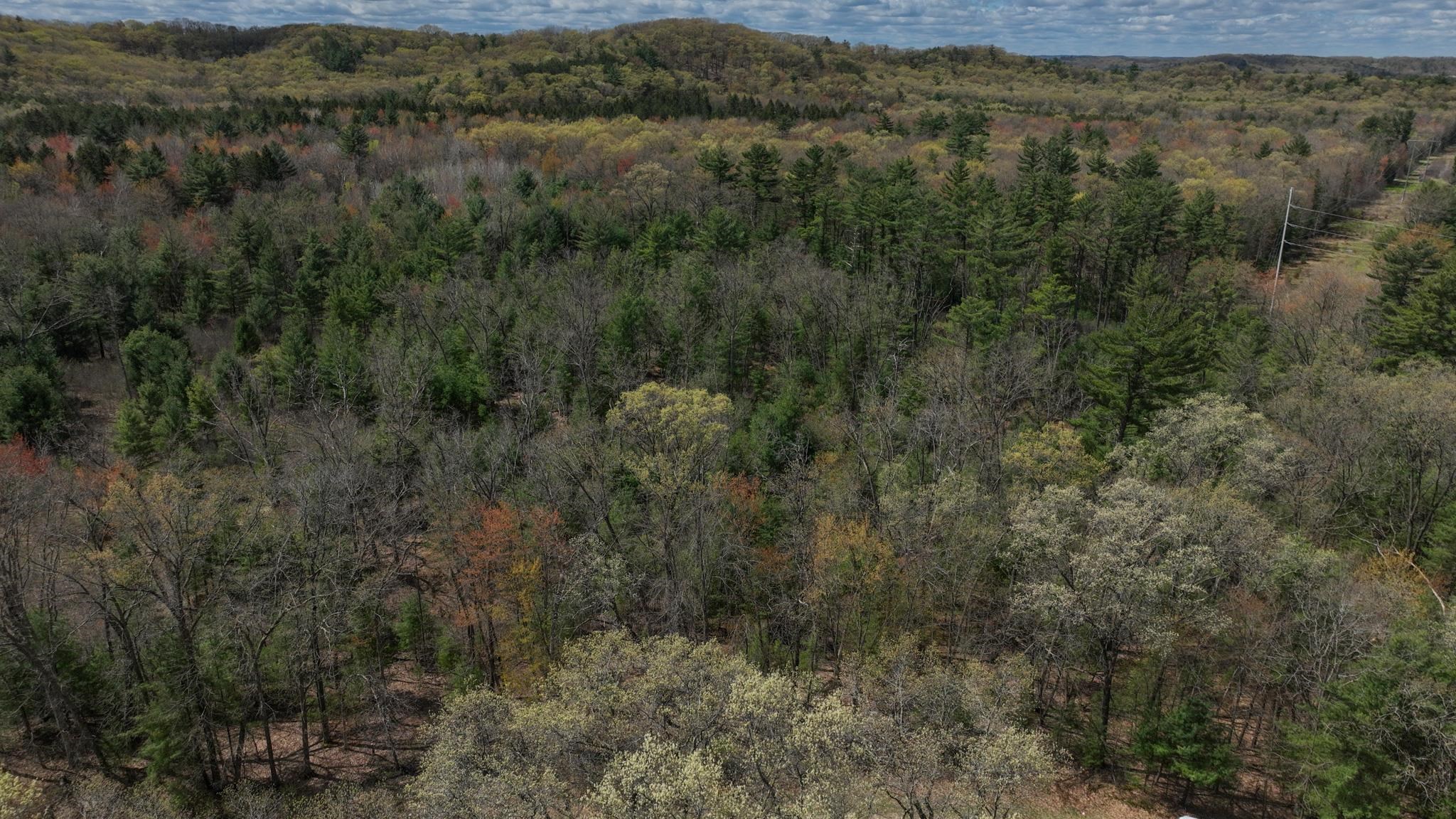 Lot 4 Grayling Tomah, WI 54660 - Photo 11 of 50
