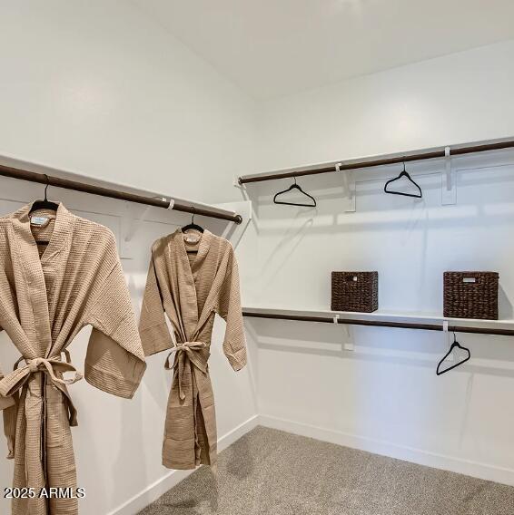 16433 West Weeping Willow Road Surprise, AZ 85387 - Photo 15 of 22 a view of walk in closet