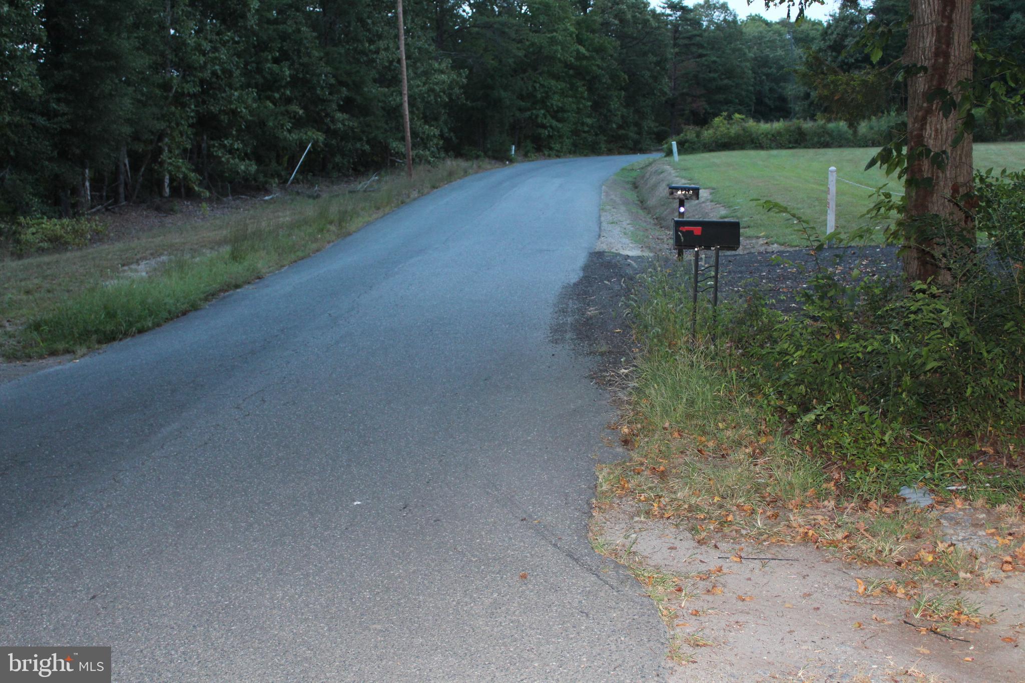 2005 Country Road Beaverdam, VA 23015 - Photo 2 of 28